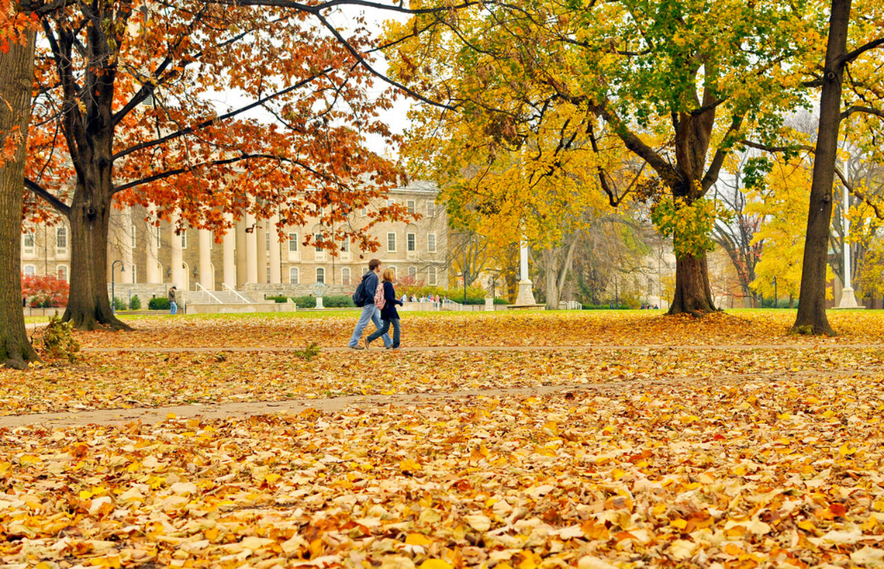 Fall leaves blanket a large lawn in front of a stone building with eight pillars.